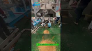 カメルーンの顧客向けの 500 ～ 800 kg/h 二軸浮遊魚供給機テスト
