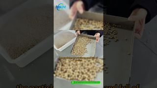 DGP-85 魚用飼料ペレット生産ライン |導入と全プロセスのデモ#fishfeedproductionline