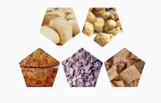 英語版大豆タンパク質ライン / 大豆チャンク製造機 AutoCAD形式