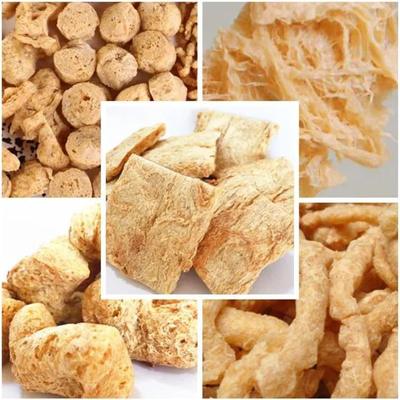 TVP TSP 野菜大豆チャンク押出機 110kw CE認証