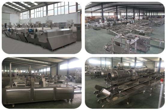 ステンレス鋼のけいれん的なペット フードの生産ライン300-500kg/Hr