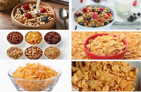 新しいステンレス鋼コーンフレーク加工ラインツインスクリュー押出機